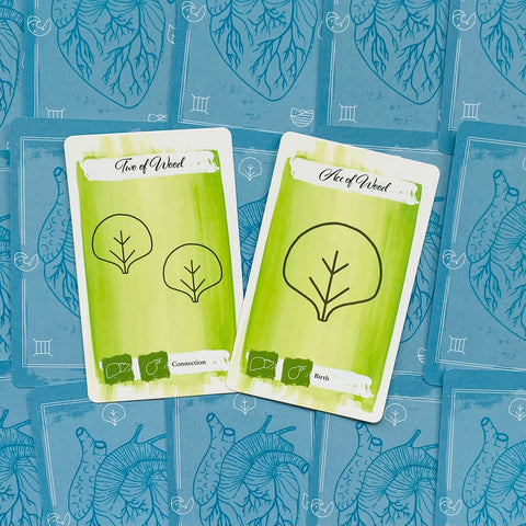 The Body Tarot Cards & Full Guidebook Cico Books By Emma Mcarthur Anatomic NEW