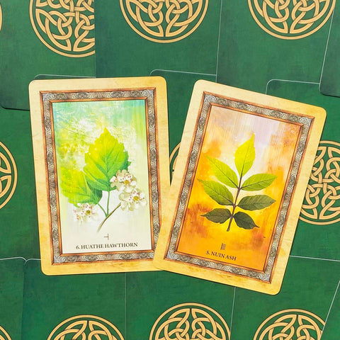 Celtic Tree Oracle Cards by Blue Angel 25-Card Deck & Guidebook Set