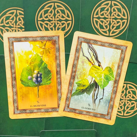 Celtic Tree Oracle Cards by Blue Angel 25-Card Deck & Guidebook Set