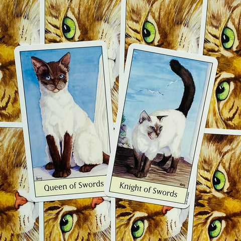 Cats Eye Tarot Deck Cards Esoteric Telling Cute US Games Systems NEW