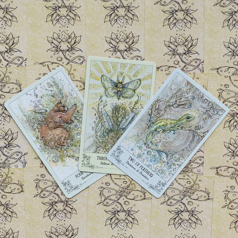 Spiritsong Tarot Card Deck by Paulina Cassidy 78 Cards US Games