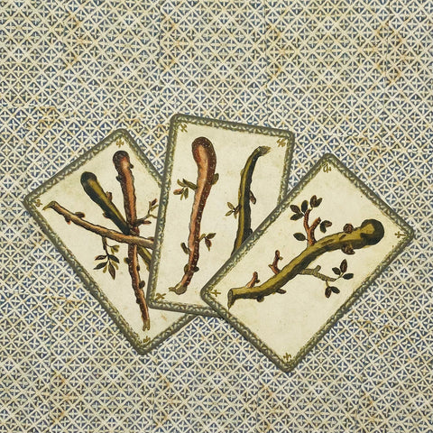 Traditional Italian Fortune Cards Lo Scarabeo