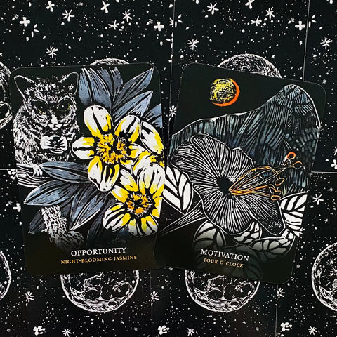 Flowers Of The Night Oracle Cheralyn Darcey Rockpool Publishing Inspiration NEW