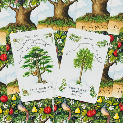 The Tree Magick Oracle Cards Deck & Illustrated Book Cico Books Gillian Kemp NEW