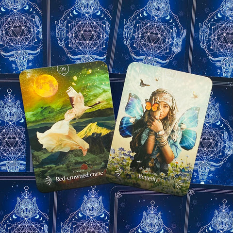 Divine Animals Oracle Cards Deck Rockpool Publishing Stacey Demarco Kinga NEW