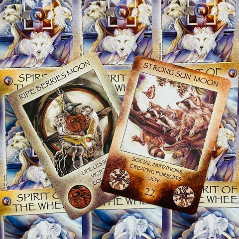 Spirit of the Wheel Meditation Oracle Deck by US Games, 40 Cards