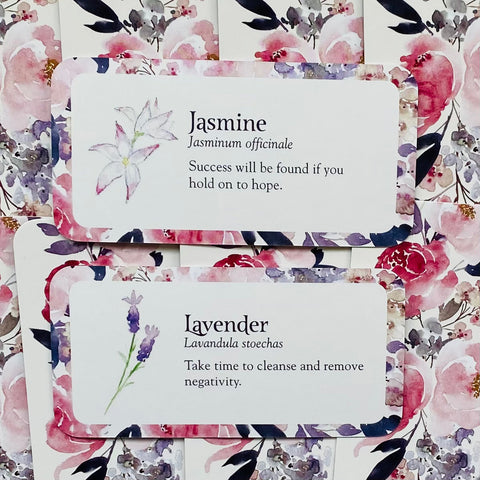 Flower Petals 40-Card Inspirational Mini Oracle Deck by US Games