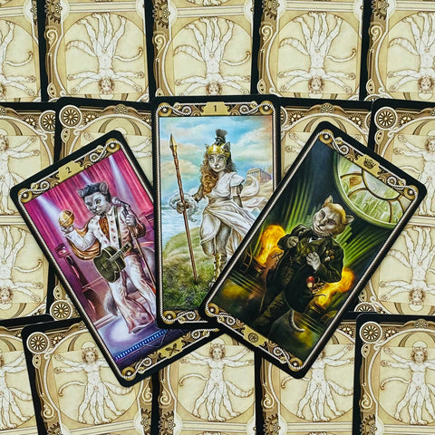 Cat Tarot Deck 78 Cards Lo Scarabeo Baraldi Marseille with Guidebook New
