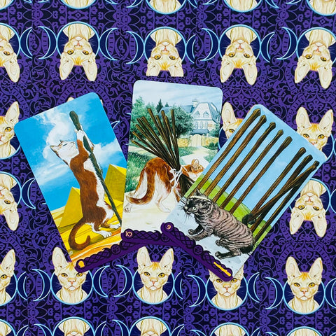 Tarot Of Pagan Cats Deck Cards Airaghi Lo Scarabeo Esoteric Fortune Telling NEW