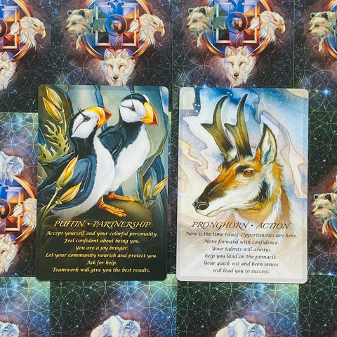 Spirit of the Animals Oracle Card Deck by Jody Bergsma US Games