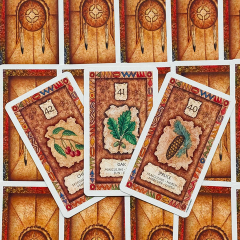 Shaman Wisdom Oracle Card Deck US Games by Leita Richesson
