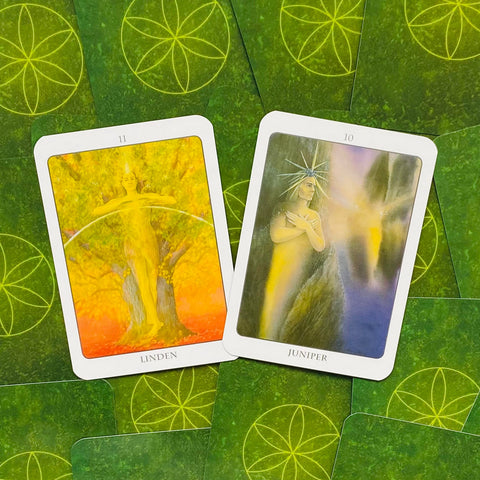 The Tree Angel Oracle Deck And Book Divination Earth Dancer Fred Hageneder NEW