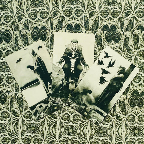 Murder Of Crows Tarot Cards Deck By Corrado Roi Esoteric Telling Lo Scarabeo NEW