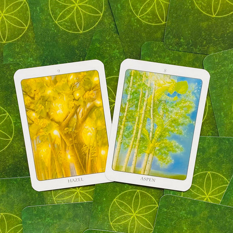 The Tree Angel Oracle Deck And Book Divination Earth Dancer Fred Hageneder NEW