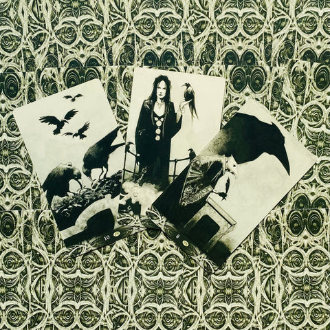 Murder Of Crows Tarot Cards Deck By Corrado Roi Esoteric Telling Lo Scarabeo NEW