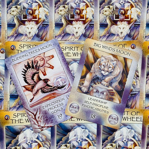 Spirit of the Wheel Meditation Oracle Deck by US Games, 40 Cards