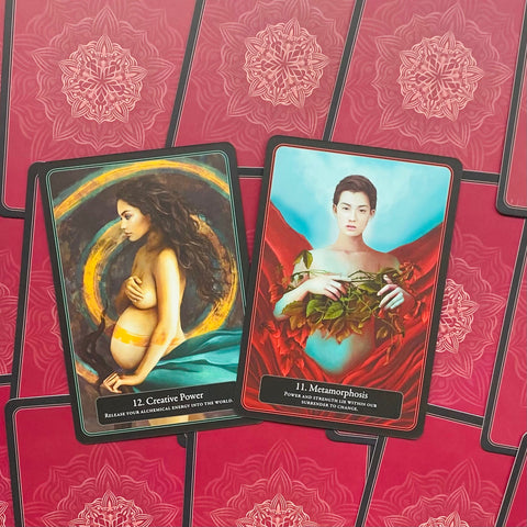 The Lantern Oracle Cards Deck Angelina Mirabito Yuly Alejo Blue Angel NEW