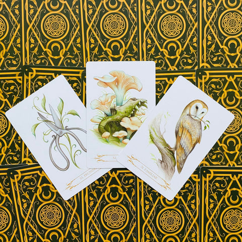 Compendium of Witches Oracle Deck 60 Cards Lo Scarabeo Natasa Ilincic