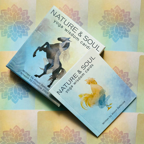 Nature & Soul Yoga Wisdom Cards Deck by US Games with Guidebook