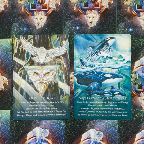 Spirit of the Animals Oracle Card Deck by Jody Bergsma US Games