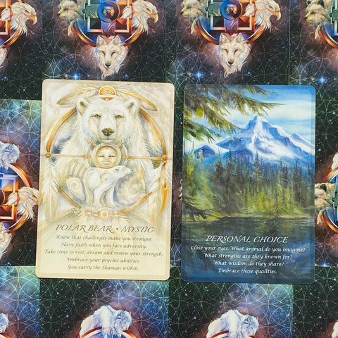 Spirit of the Animals Oracle Card Deck by Jody Bergsma US Games