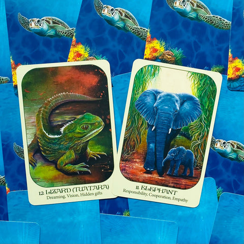 Animal Voices Oracle Cards Deck Blue Angel By Chip Richards Esoteric Telling NEW