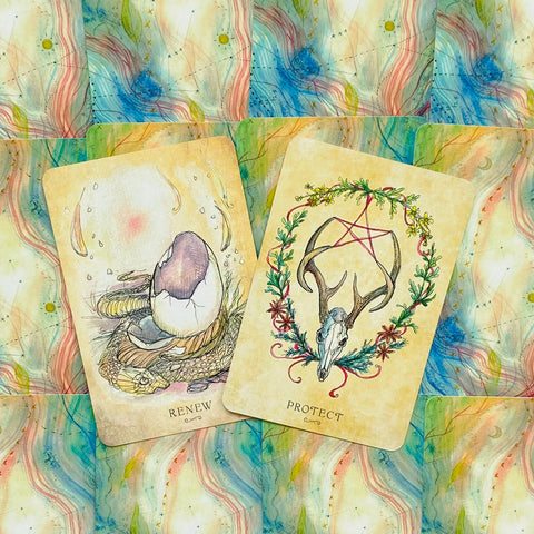 Anatomy Of A Witch Oracle Cards Deck Llewellyn By Laura Tempest Zakroff NEW