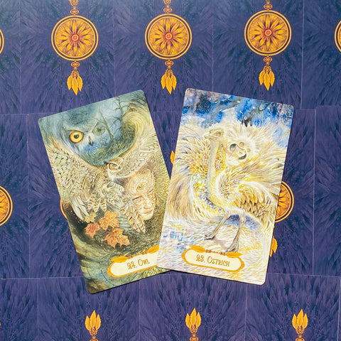 The Winged Enchantment Oracle Cards Deck Esoteric Telling US Games Systems NEW