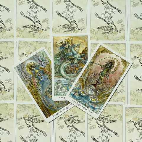 Paulina Tarot Deck by Paulina Cassidy 78 Cards with Guidebook US Games