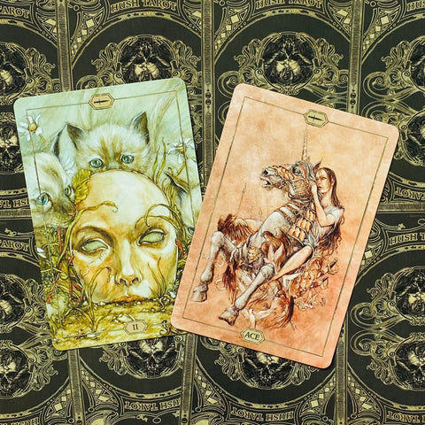 Hush Tarot Deck by Jeremy Hush 78 Cards & Guidebook US Games Systems