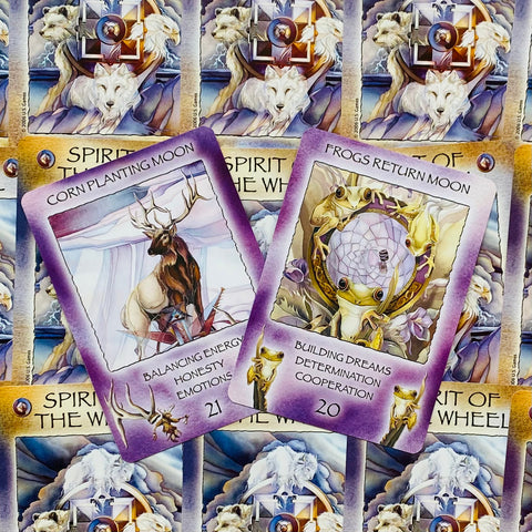 Spirit of the Wheel Meditation Oracle Deck by US Games, 40 Cards
