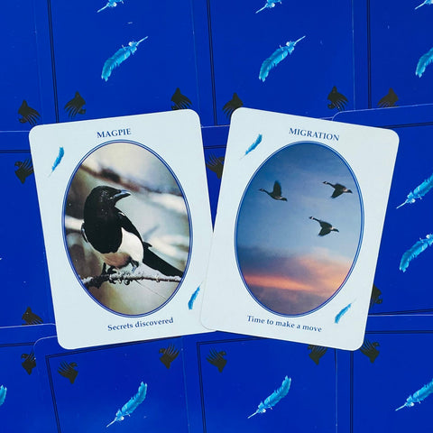 Feathered Omens Messenger Birds Spirit World Oracle Cards & Book Set