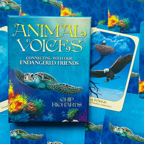 Animal Voices Oracle Cards Deck Blue Angel By Chip Richards Esoteric Telling NEW