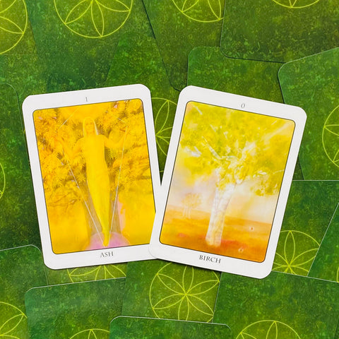 The Tree Angel Oracle Deck And Book Divination Earth Dancer Fred Hageneder NEW