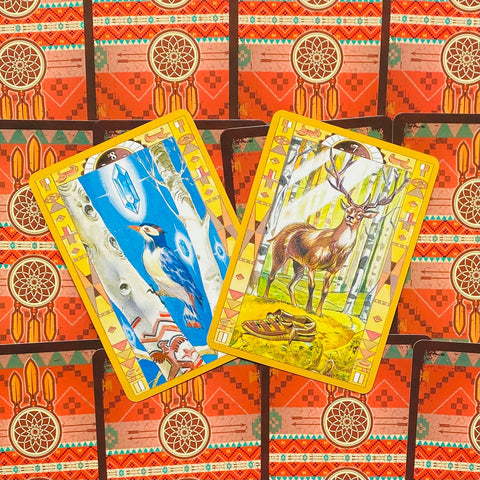 Native American Spirituality Oracle Cards Deck Esoteric Telling Lo Scarabeo Or13