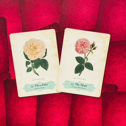 Oracle Of The Roses Cards Rockpool Cheralyn Darcey 44 Divinely Illustrated NEW