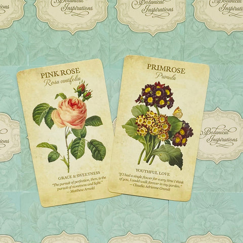 Botanical Inspirations Cards Deck & Book Set Lynn Araujo US Games Systems Bic44