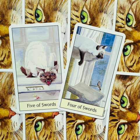 Cats Eye Tarot Deck Cards Esoteric Telling Cute US Games Systems NEW
