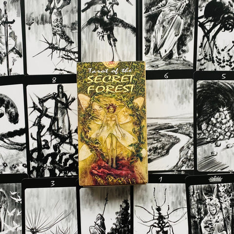 Tarot Of The Secret Forest Deck Cards Mattioli Esoteric Telling Lo Scarabeo NEW