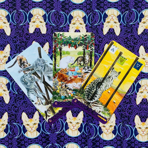 Tarot Of Pagan Cats Deck Cards Airaghi Lo Scarabeo Esoteric Fortune Telling NEW