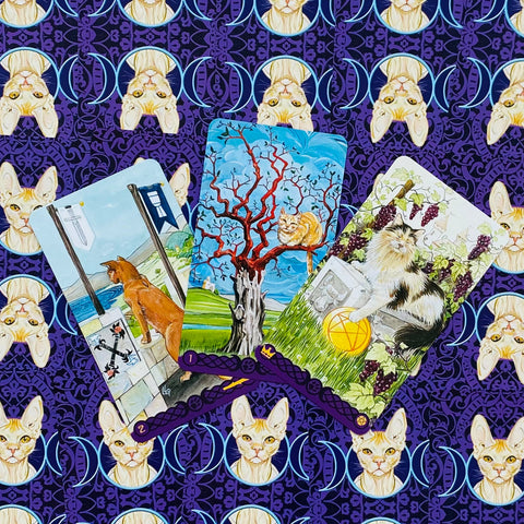 Tarot Of Pagan Cats Deck Cards Airaghi Lo Scarabeo Esoteric Fortune Telling NEW