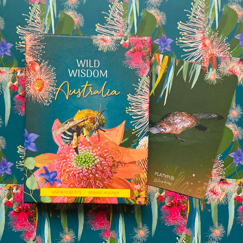 Wild Wisdom Australia Oracle Cards Deck Blue Angel K.Roberts - B.Hughes NEW