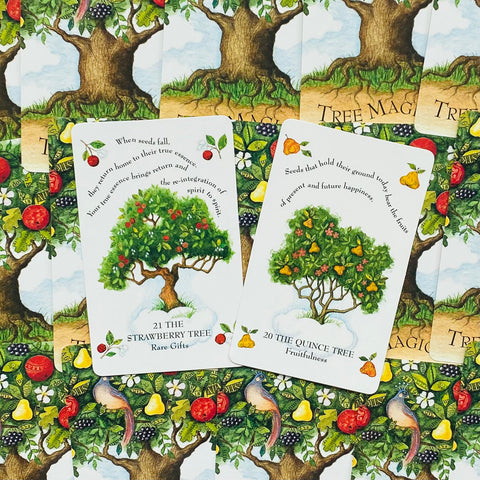 The Tree Magick Oracle Cards Deck & Illustrated Book Cico Books Gillian Kemp NEW