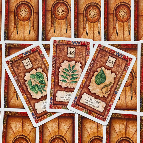 Shaman Wisdom Oracle Card Deck US Games by Leita Richesson