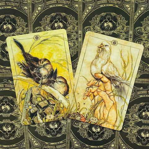 Hush Tarot Deck by Jeremy Hush 78 Cards & Guidebook US Games Systems