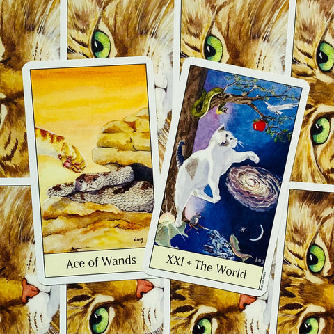 Cats Eye Tarot Deck Cards Esoteric Telling Cute US Games Systems NEW