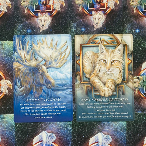 Spirit of the Animals Oracle Card Deck by Jody Bergsma US Games