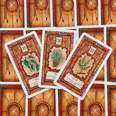 Shaman Wisdom Oracle Card Deck US Games by Leita Richesson