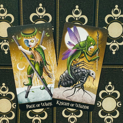 Deviant Moon Borderless Edition Tarot Cards P. Valenza US Games Systems Bdm78