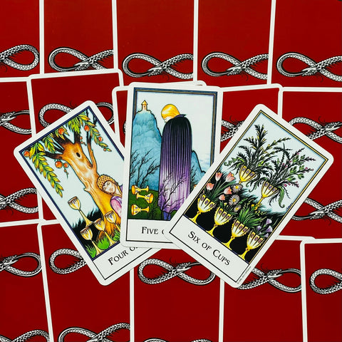 New Palladini Tarot Deck 78 Cards US Games Systems English Guide